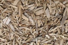 biomass boilers Loansdean